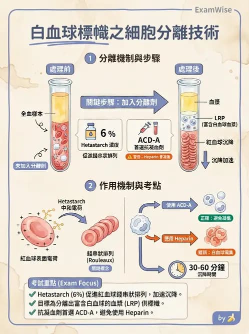 放射 - 肺肝膽與製劑通則 - AI 圖文解析預覽