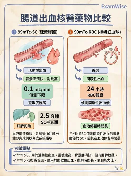 放射 - 消化道造影 - AI 圖文解析預覽