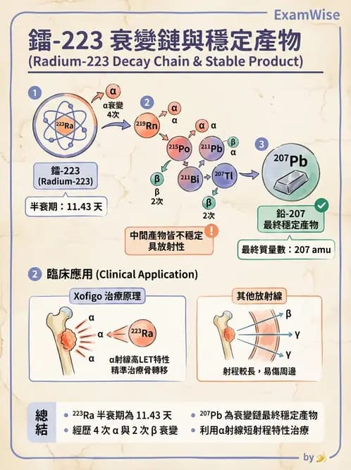 放射 - 蛻變類型與計算 - AI 圖文解析預覽