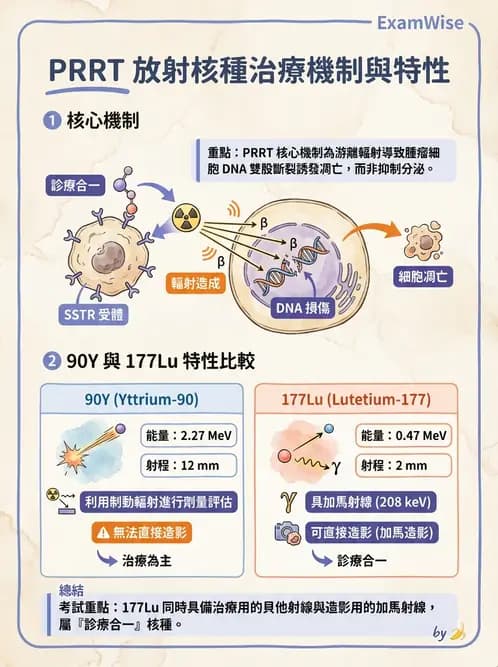 放射 - 腫瘤治療 - AI 圖文解析預覽