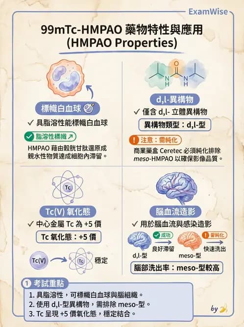 放射 - 腦部造影SPECT藥物 - AI 圖文解析預覽