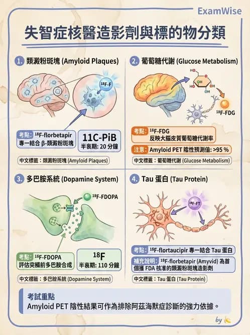 放射 - 腦神經PET藥物 - AI 圖文解析預覽