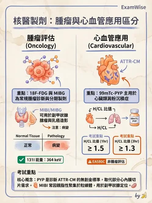 放射 - 腫瘤與內分泌造影SPECT藥物 - AI 圖文解析預覽