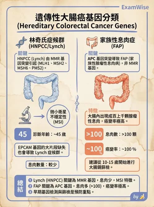 放射 - 惡性腫瘤 - AI 圖文解析預覽