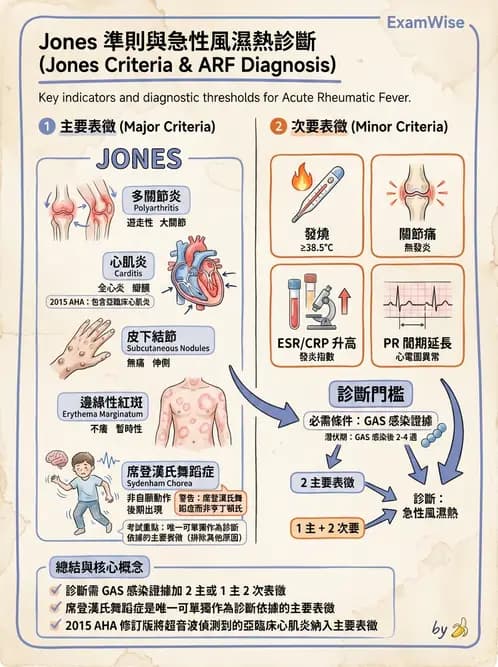 放射 - 心臟及血管疾病 - AI 圖文解析預覽