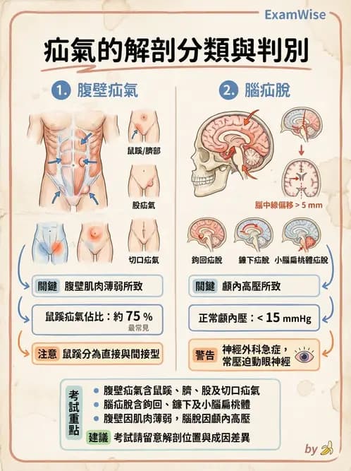 放射 - 口腔及腸胃道疾病 - AI 圖文解析預覽