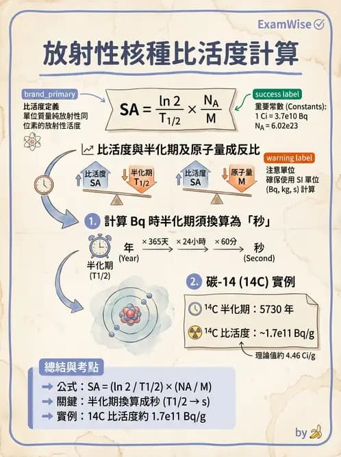 放射 - 放射性活度與衰變計算 - AI 圖文解析預覽