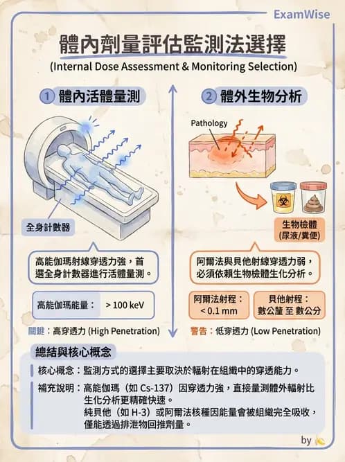 放射 - 體內劑量 - AI 圖文解析預覽