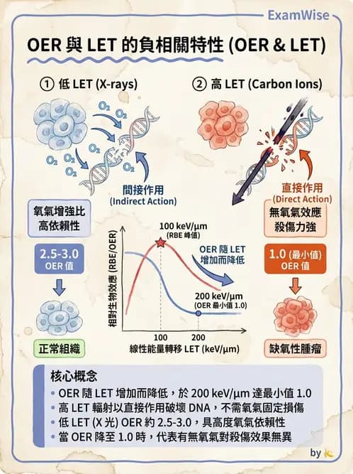 放射 - 輻射物理生物基礎 - AI 圖文解析預覽