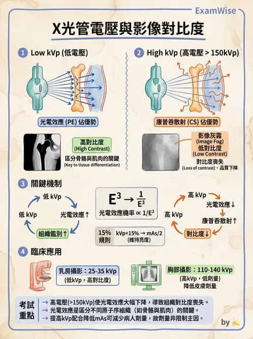 放射 - X光產生與特性 - AI 圖文解析預覽