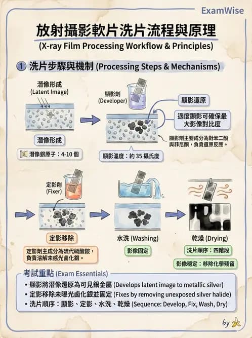 放射 - 影像接受器與乳房攝影 - AI 圖文解析預覽