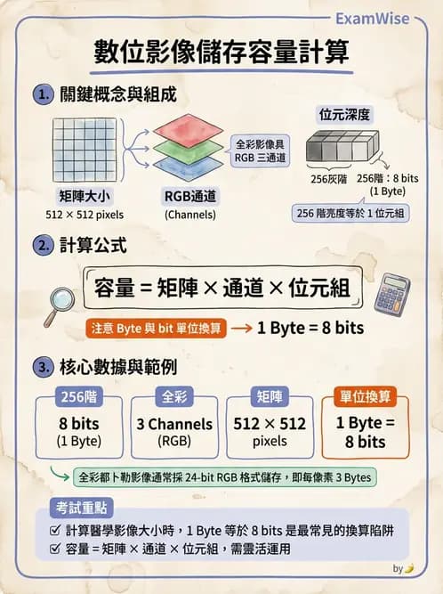 放射 - 超音波成像與都卜勒 - AI 圖文解析預覽