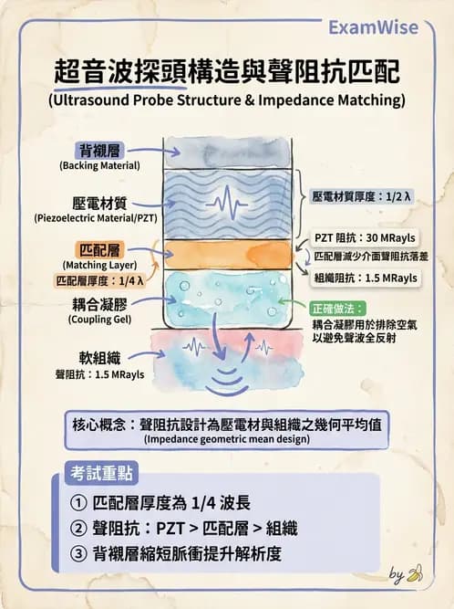 放射 - 超音波物理與換能器 - AI 圖文解析預覽