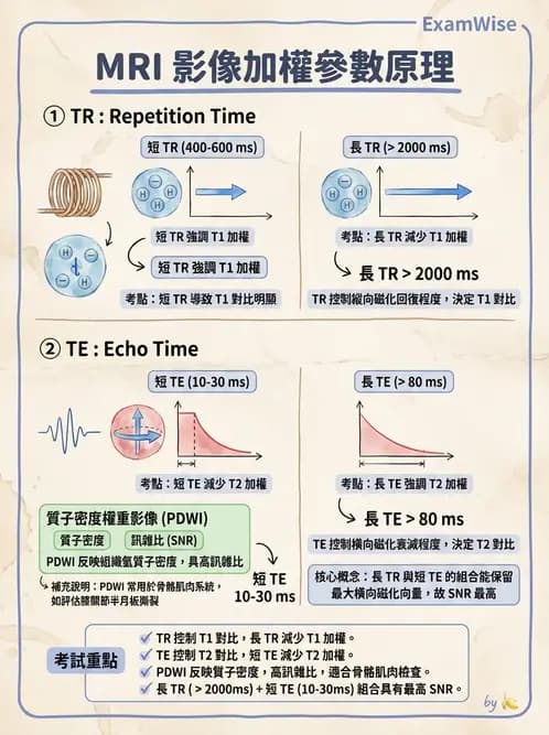 放射 - 脈衝序列與影像對比 - AI 圖文解析預覽