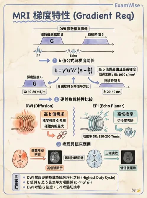 放射 - 梯度線圈與空間編碼 - AI 圖文解析預覽