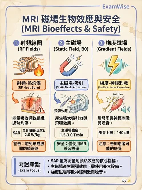 放射 - 射頻系統與線圈 - AI 圖文解析預覽