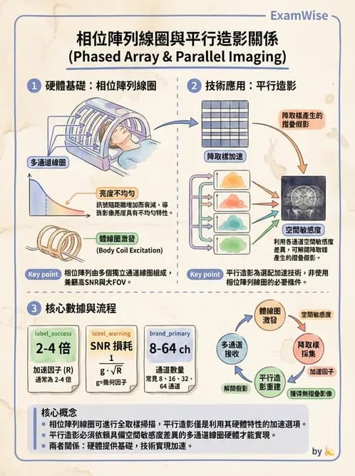 放射 - 射頻系統與線圈 - AI 圖文解析預覽