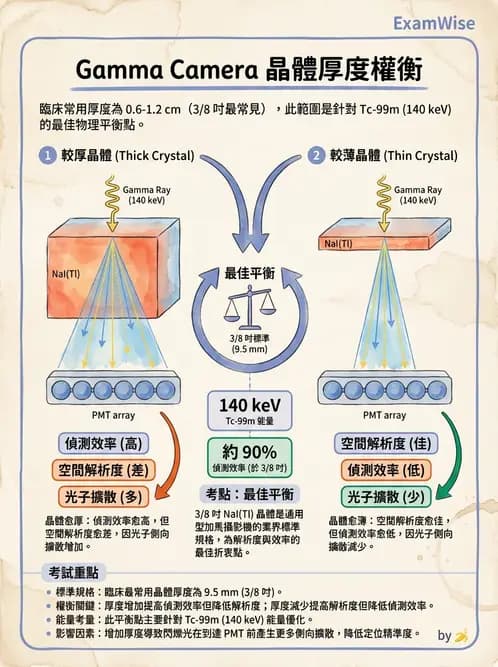 平面影像 - 影像儀器設備 - AI 圖文解析預覽