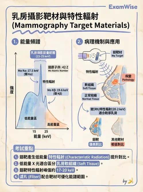 放射 - 乳房攝影裝置與影像品質 - AI 圖文解析預覽