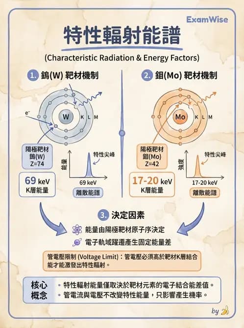 放射 - X光球管與高壓電路 - AI 圖文解析預覽