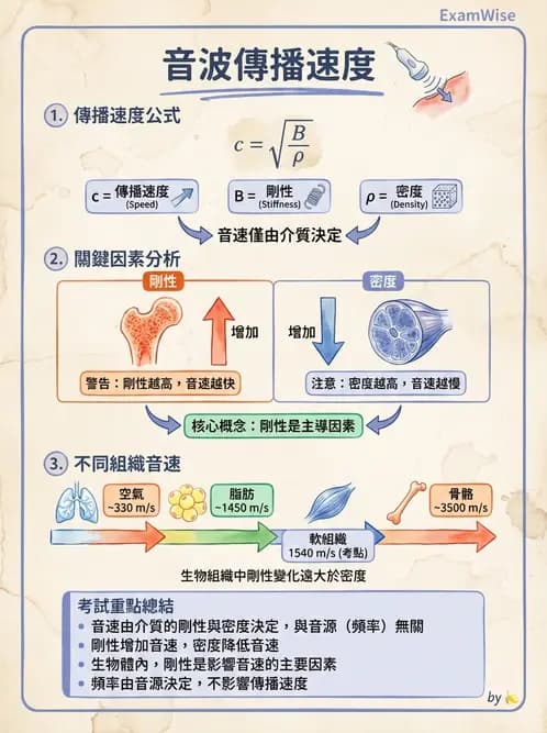 放射 - 超音波物理與系統原理 - AI 圖文解析預覽