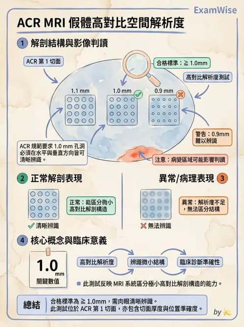 放射 - 品質管制與安全規範 - AI 圖文解析預覽