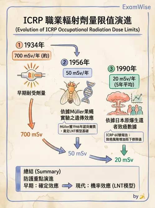 放射 - 輻射致癌與遺傳效應 - AI 圖文解析預覽