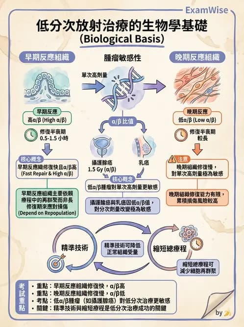 放射 - 時間劑量分次效應 - AI 圖文解析預覽