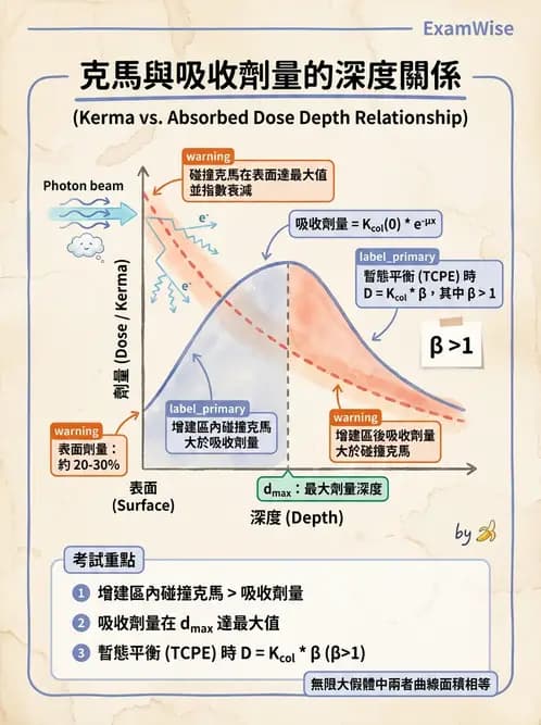 放射 - 劑量增建、散射因子與假體量測 - AI 圖文解析預覽