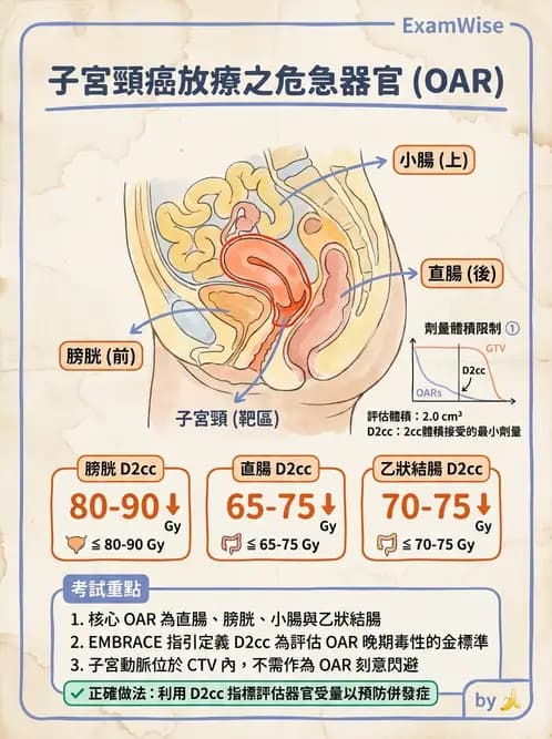 放射 - 疾病部位計畫與危急器官保護 - AI 圖文解析預覽