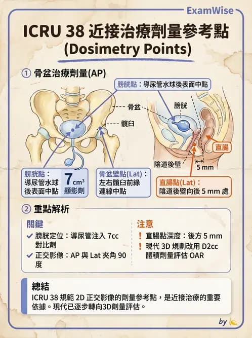放射 - 腔內近接治療 - AI 圖文解析預覽