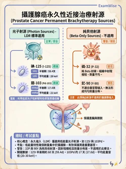 放射 - 插種近接治療 - AI 圖文解析預覽