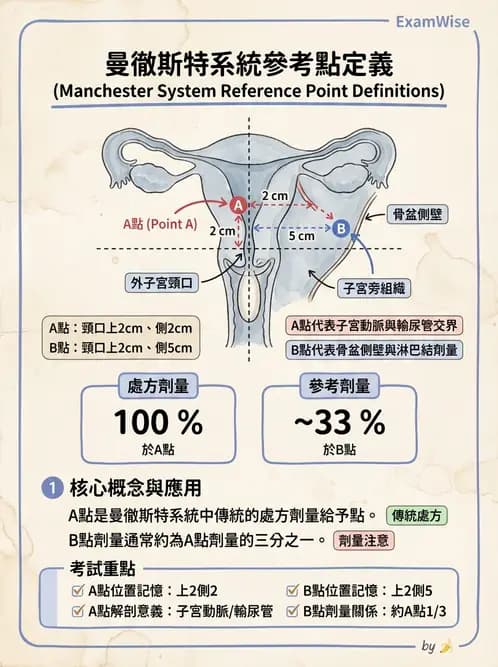 放射 - 腔內近接治療 - AI 圖文解析預覽