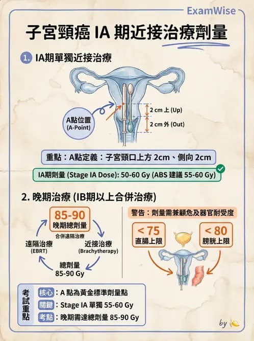 放射 - 近接放射治療臨床計畫與應用 - AI 圖文解析預覽