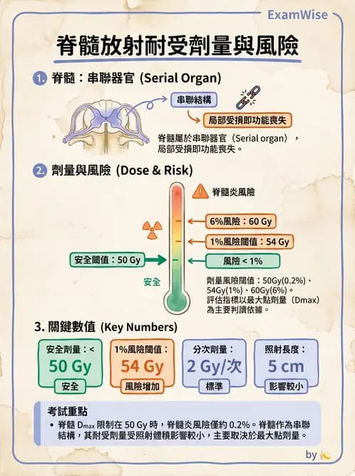 放射 - 疾病部位計畫與危急器官保護 - AI 圖文解析預覽