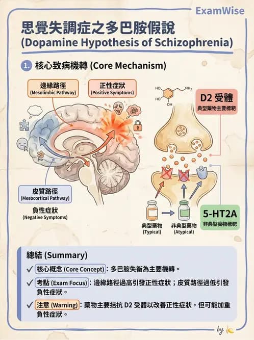 放射 - 神經生理 - AI 圖文解析預覽