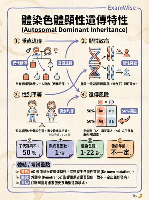 放射 - 遺傳疾病與小兒疾病 - AI 圖文解析預覽