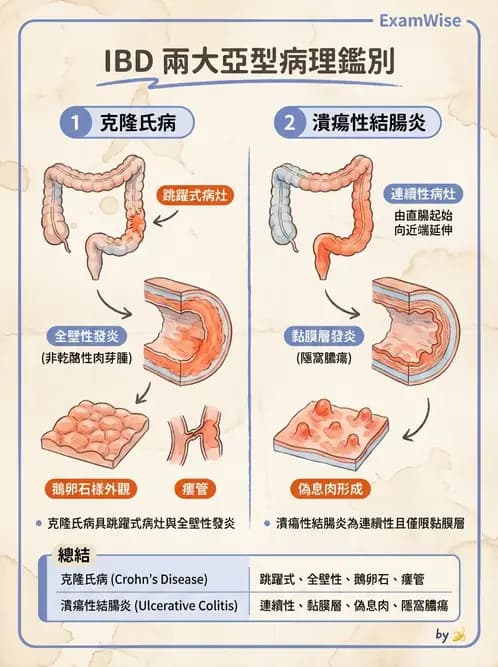 放射 - 口腔及腸胃道疾病 - AI 圖文解析預覽