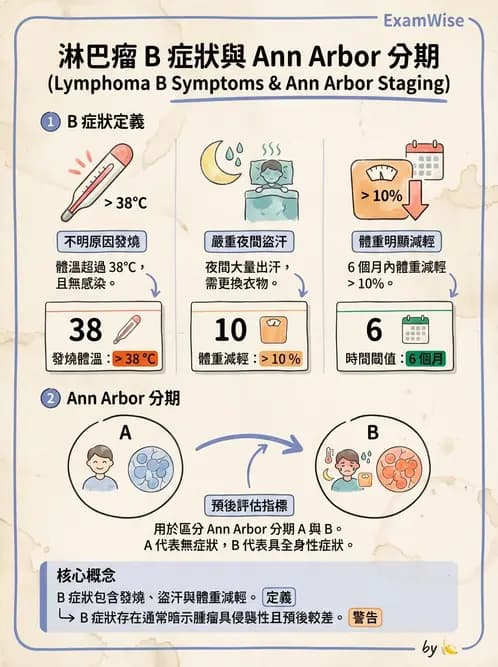 放射 - 造血及淋巴系統疾病 - AI 圖文解析預覽