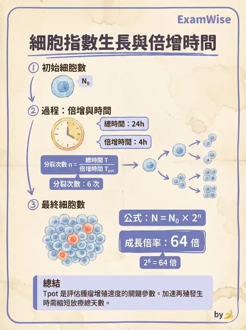 放射 - DNA損傷修復與細胞效應 - AI 圖文解析預覽