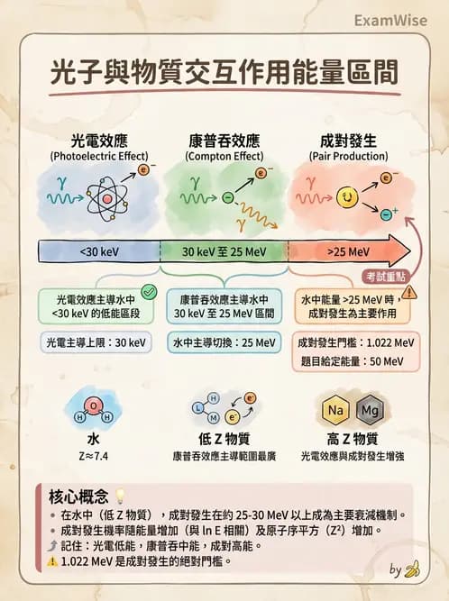 放射 - 光子作用機制 - AI 圖文解析預覽