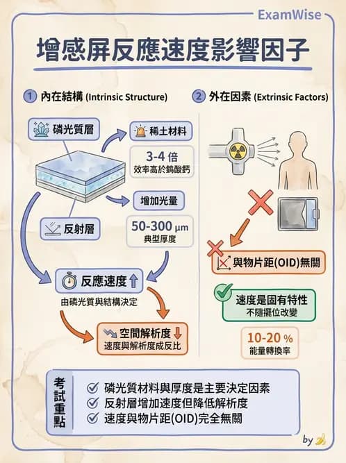 放射 - 影像接受器與乳房攝影 - AI 圖文解析預覽