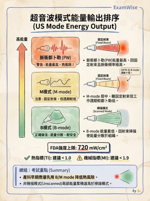 放射 - 超音波成像與都卜勒 - AI 圖文解析預覽