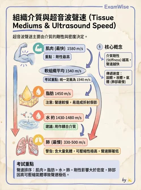 放射 - 超音波物理與換能器 - AI 圖文解析預覽