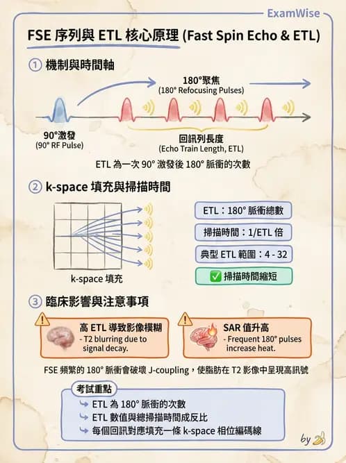 放射 - 脈衝序列與影像對比 - AI 圖文解析預覽