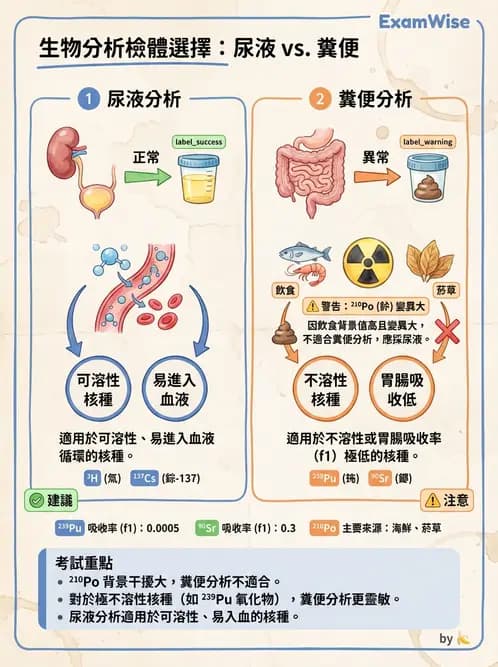 放射 - 體內劑量 - AI 圖文解析預覽