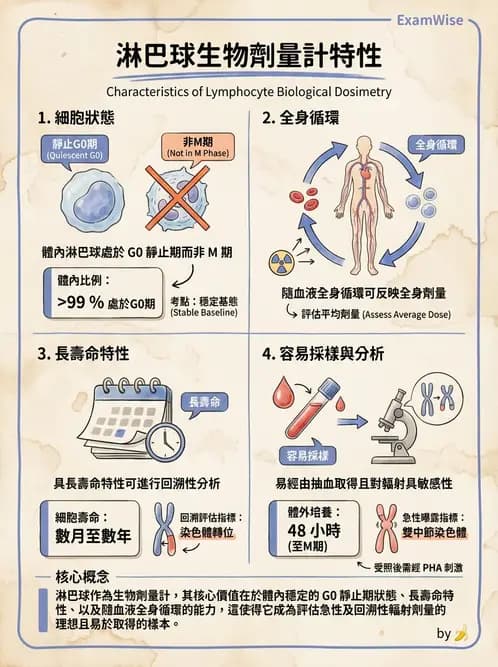 放射 - DNA損傷修復與細胞效應 - AI 圖文解析預覽