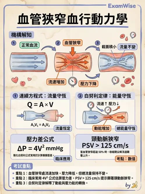 放射 - 都普勒超音波 - AI 圖文解析預覽
