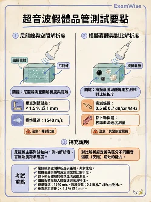 放射 - 超音波進階成像與假影 - AI 圖文解析預覽