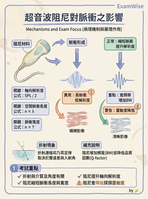放射 - 超音波物理與系統原理 - AI 圖文解析預覽